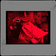 The Patient
